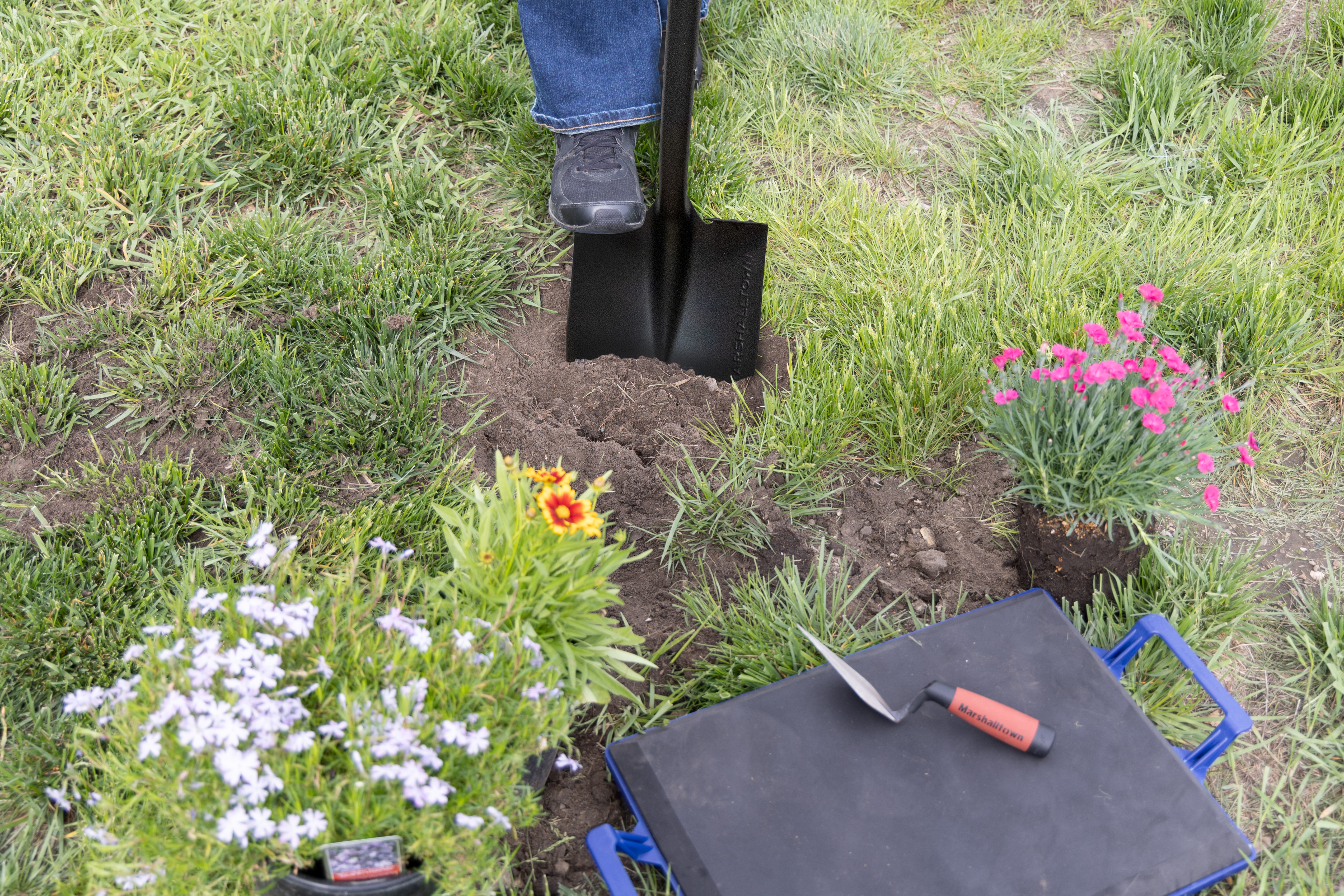 person digging holes for flowers